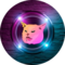 Pussy Financial (PUSSY)